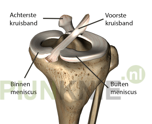 Pijn aan de meniscus, kan dat?