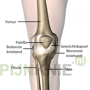 Image 3: knie-4