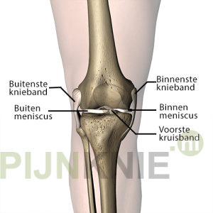 knie-2