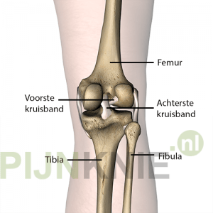 knie-3