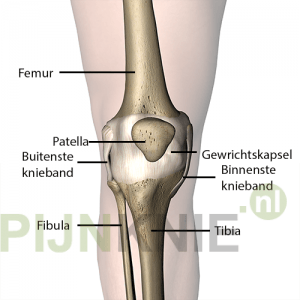 knie-4