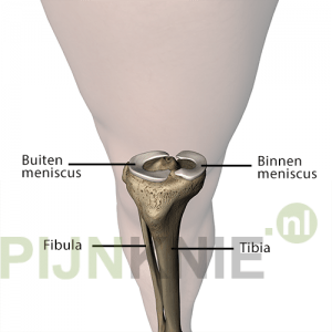 knie-7