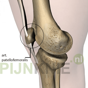 knie-8